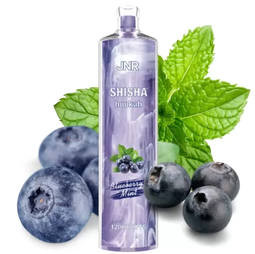 JNR Shisha Hookah Vape Tooted: Maitse ja Kvaliteedi Kooslus